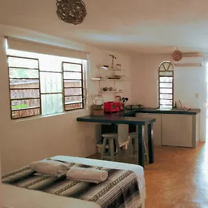 **** Hotel Selva Y Arte - Gratis Renta Bicicletas Y Kayyaks México