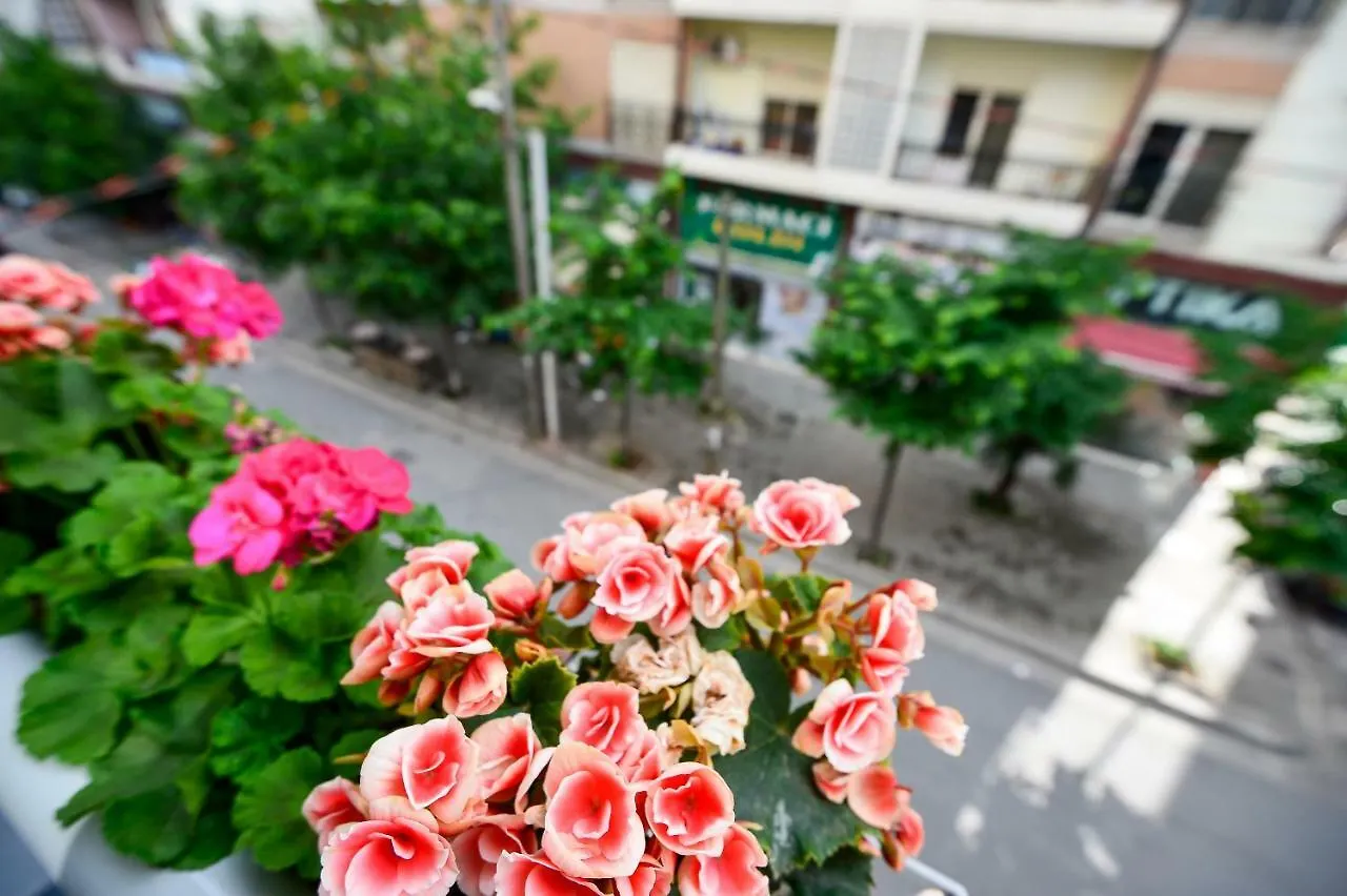 Hotel Niku Тирана 3*,